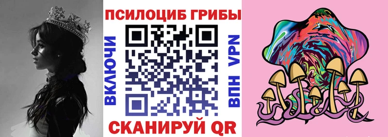 Псилоцибиновые грибы Psilocybe Ливны