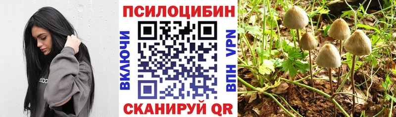 Псилоцибиновые грибы ЛСД  как найти закладки  Ливны 